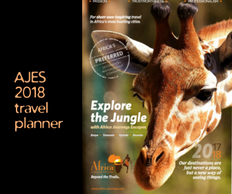 Oline Brochure
